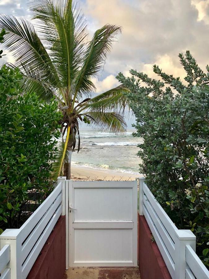 Appartement Au Bord De Mer لو مول المظهر الخارجي الصورة
